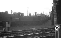 A misty morning at Dumfries in late 1963 sees J72 0-6-0T 68750 stored awaiting disposal. Withdrawn at the end of 1962, the locomotive was later transferred to the yard of Messrs McWiliams at Shettleston, where it was cut up in February 1964.<br><br>[K A Gray //1963]