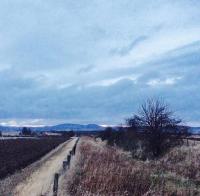 This Whitehouse view is taken looking west towards Alford. This section is somewhat passable up until the Bandlay Junction. The photograph was taken just beyond the hamlet of Whitehouse 2.5 miles or so from Alford.<br><br>[Wyndham Williams 15/12/2015]