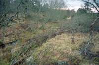 View from the goods loading bank at Tillyfourie looking to the station, and Kintore, in 1997.<br><br>[Ewan Crawford 03/02/1997]