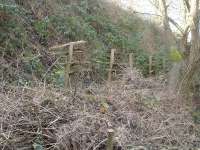 A line of five concrete posts on the down side embankment beside the goods lines beyond the slow line island platform for the Manchester to Sheffield line part of Penistone station. Whilst a curved cable support bracket appears to be fitted at the top front, other flat supports on both front and rear faces appear to have carried lengths of wood.  <br><br>[David Pesterfield 23/02/2016]