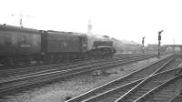 The 3.43pm Leeds Central - Kings Cross heads south away from Doncaster on 1 September 1962 behind Gresley A4 Pacific 60008 <I>Dwight D Eisenhower</I>.<br><br>[K A Gray 01/09/1962]