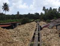 At the River Antoine Distillery on Grenada (West Indies) is a short section of track where a wagon carries crushed sugar cane from the crusher to be dumped for drying. When dry the cane is used as fuel although the crusher itself is powered by a water-wheel. Unlike Scottish distilleries there is no 'Excise Man' supervising the still. Editor's Note: This image was awarded first prize in the Railscot Obscure Railway of the Month competition. <br>
<br><br>[John Thorn 23/02/2016]