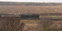 60103 returning to Goathland enroute to Grosmont.<br><br>[Peter Todd 12/03/2016]