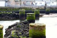 It would have been easier going across here before the girders were removed in 1978. Fish were taken from the fishing fleet and fuel oil for them delivered. The Ayr resident steamer would also be supplied here.<br><br>
Taken 20-3-16 at exceptionally low tide.<br><br>[Colin Miller 20/03/2016]