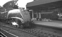 View across the platforms at the east end of Newcastle Central, thought to have been taken in 1961. A4 Pacific 60019 <I>Bittern</I> is preparing to leave with a northbound ECML service, while a South Tyneside DC electric unit stands in the bay platform beyond, having recently arrived from South Shields.  <br><br>[K A Gray //1961]