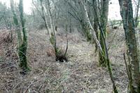 View towards Balloch at the Auchencarroch Siding from which a tramway ran to Auchencarroch Quarry.<br><br>[Ewan Crawford 29/01/2006]