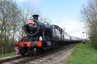 GWR 2-8-0T 4247, celebrating its 100th birthday in 2016, working on the Swindon and Cricklade Railway leaving Hayes Knoll.<br><br>[Peter Todd 23/04/2016]