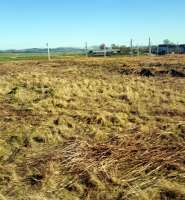 A view of the de-vegetated Carstairs triangle.<br><br>[John Yellowlees 20/04/2016]