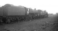 Stored steam locmotives awaiting disposal in the sidings at Carstairs in July 1966. Nearest the camera is BR Standard class 5 4-6-0 73078, withdrawn from here that month and cut up at McWilliams yard in Shettleston three months later.<br><br>[K A Gray /07/1966]
