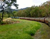 Kuranda Scenic Railway (QR). The 15.30 Kuranda to Cairns gingerly descends from the tableland to sea level, round this long curve, built for the steam locos to gain altitude.<br><br>[Colin Miller 27/09/2015]