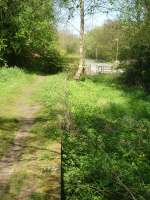 View north east to the end of the down platform of the former Helmsley station, and of Riccal Drive which runs along the trackbed for some 50 metres before the trackbed turns east towards Kirbymoorside. The line was lifted in 1965, but both platforms are still extant from near the station building heading north, but whereas the up side platform edge is buried beneath undergrowth the down side brick edging is mostly exposed. The trackbed is covered by assorted plants and extensive tree growth. <br><br>[David Pesterfield 09/05/2016]