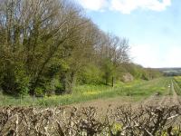 Looking south from the B1257 at Spring Hill west of Stonegrave, along the tree lined embankment of the former line to Hemsley and Kirbymoorside, with the junction with the Pilmoor to Malton line some 750 metres away near Cawton, between Gilling and Hovingham stations. The two single track lines ran west to Gilling where the physical connection was made.<br><br>[David Pesterfield 02/05/2016]