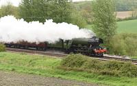 Flying Scotsman heading west past Crofton Pumping Station on the GWR Berks and Hants line on 21 May, on time at 1045.<br><br>[Peter Todd 21/05/2016]