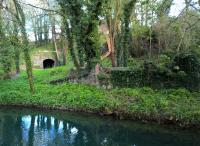 <h4><a href='/locations/M/Malmesbury_Tunnel'>Malmesbury Tunnel</a></h4><p><small><a href='/companies/M/Malmesbury_Railway'>Malmesbury Railway</a></small></p><p>The 96 yard tunnel in the background may now be a dead end, but it is lit; and has been used for parties, dramatic productions, and filming. It is currently for sale, along with the house above it. It was built by an apprentice to Brunel, and is said to be the first tunnel West of Paddington on the GWR. The water in the foreground is the Tetbury branch of the River Avon. 51/122</p><p>30/04/2016<br><small><a href='/contributors/Ken_Strachan'>Ken Strachan</a></small></p>