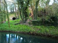 The 96 yard tunnel in the background may now be a dead end, but it is lit; and has been used for parties, dramatic productions, and filming. It is currently for sale, along with the house above it. It was built by an apprentice to Brunel, and is said to be the first tunnel West of Paddington on the GWR. The water in the foreground is the Tetbury branch of the River Avon.<br><br>[Ken Strachan 30/04/2016]