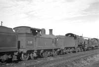 Amongst the locomotives awaiting disposal at Eastleigh in September 1963 is Wainwright 'H' class 0-4-4T 31308 of 1906, withdrawn from Tunbridge Wells West at the end of 1962. Cutting up in the nearby works took place in November 1963.<br><br>[K A Gray 25/09/1963]