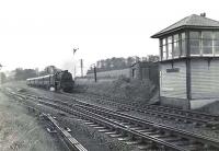 A Stranraer - Glasgow express about to run through Maybole Junction on 17 October 1959, hauled by an unidentified Black 5.<br><br>[G H Robin collection by courtesy of the Mitchell Library, Glasgow 17/10/1959]