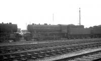 WD Austerity 2-8-0 no 90369 stabled for the weekend in the shed yard at Doncaster on Sunday 22 May 1966. <br><br>[K A Gray 22/05/1966]