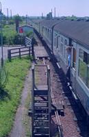 This photograph perfectly illustrates what's wrong with the present Forres station - a stopped westbound train, sitting in a loop just outside the single track station waiting for a late running eastbound train in 1990. It's in Forres and just a short distance from the station but the passengers cannot detrain. And it's a hot, hot summer.<br><br>[Ewan Crawford //1990]