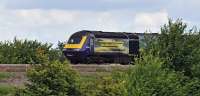 A visit to the lineside on the Great Western Main Line near the village of Fernham, to the east of Swindon, finds 43144 on a westbound HST 125, displaying the logo 'Building a Greater West'.<br><br>[Peter Todd 14/07/2016]