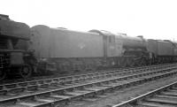 One of the many withdrawn steam locomotives to pass through Bathgate Yard while awaiting disposal was A3 60101 <I>Cicero</I>, photographed here in the spring of 1964. Withdrawn from St Margarets in April 1963, the Pacific was eventually cut up by Arnott Young at Carmyle some 3 months after this photograph was taken.<br><br>[K A Gray 28/03/1964]