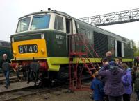 Well preserved Hymek D7017 photographed during the HST's 40th birthday party celebrations on 2 May 2016 at St Philips Marsh depot, Bristol. <br><br>[Ken Strachan 02/05/2016]