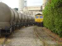 Freightliner 66615 in the Hope Construction cement depot at Thornhill Lees, Dewsbury, on a part rake of 4 wheel pressure discharged tanks being off-loaded one by one with the loco drawing forward after each one is emptied. [See image 56020] The rakes are made up of a mix of parallel and dipped centre tanks. Once all are emptied the loco will return the empties back to the cement works sidings at Hope in Derbyshire.<br><br>[David Pesterfield 22/07/2016]