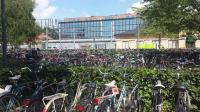 Oxbridge, eat your heart out!<br>
A small part of the cycle park, complete with trees and hedges, outside the station. The park designer states that there are 7,500 spaces but as there are many hundreds of bikes parked outwith the racks I would estimate there are in the order of 8,000 to 9,000 bicycles here on a bad day and maybe 10,000 on a good day! That would probably make Uppsala Central the biggest outdoor cycle park at a railway station in the world and second only to Utrecht for any station cycle park. [see image 56284]<br><br>[Charlie Niven 25/07/2016]