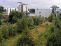 View over the former station at Cameron Bridge.  Edging on the island platform can be seen in the centre of the frame; the through line to Methil is to the right with the run-round and sidings to the left.  Yes, the track is still there!<br><br>[Bill Roberton 30/08/2016]