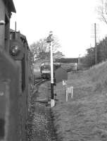 A pickup freight off the Kelso branch is held at Kelso Junction in 1966 as a 'Peak' passes with a southbound train on the Waverley Route. <br><br>[Dougie Squance (Courtesy Bruce McCartney) //1966]