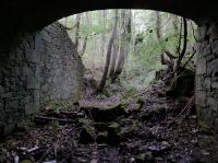 Bridge/tunnel which carried an estate road to Fordell House, demolished in 1963, over the Fordell Railway.<br>
<br>
View north from the tunnel towards the stone-lined cutting.<br><br>[Bill Roberton 13/09/2016]