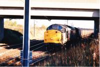 There was a long wait for this photograph. The driver of this Class 37 had some difficulty getting the train out of the disposal point (DP) siding although he looks calm enough. Firstly the train stalled then the loco engine stalled. It was a sunny day but it had been frosty so the rails may have been slippery. The photographer was in a position of safety and being half way up the cutting slope also in a good position for this shot. This is the bridge from which another shot was taken of the DP [see image 50903]<br><br>[Charlie Niven /11/1998]