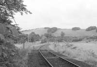 The Selkirk branch looking north towards Lindean station, thought to have been taken some time in the 1960s. The station stood beyond the level crossing to the left, with a small goods yard opposite. Lindean station closed to passengers in 1951, with the Selkirk branch closing completely in 1964. Part of the trackbed is now occupied by the A7 [see image 56633]. [Ref query 5443]  <br><br>[Dougie Squance (Courtesy Bruce McCartney) //]