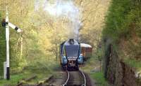 LNER Pacific 4464 <I>Bittern</I> approaching Goathland station in 2014.<br><br>[Ian Dinmore //2014]