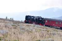 Harzer Schmalspurbahnen locomotive 99 7239-9 (built in the mid 1950s, converted to oil burning in the late 1970s, then back to coal soon thereafter) approaching the Brocken Summit station (1140 m above sea level) on the 1000 mm gauge HSB system with the first up train of the day.  At its peak, just before the First World War, there was just over 200 km of interconnected 1000 mm gauge track in the Harz Mountains.<br><br>[Norman Glen 12/10/2016]