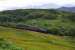 Black 5 No.44871 powers up the gradient from Beasdale to Borrodale Tunnel with the afternoon steam service for Mallaig.<br><br>[John Gray 03/08/2016]