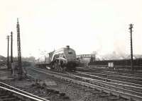 An Edinburgh Waverley - Glasgow Queen Street stopping train runs through Cowlairs West Junction on 18 May 1954 behind Haymarket A4 Pacific no 60031 <I>Golden Plover</I>.<br><br>[G H Robin collection by courtesy of the Mitchell Library, Glasgow 18/05/1954]