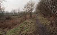 View towards the junction at Brechin station from the former lines to Edzell and Forfar in 1996. The line in the foreground was double track but the left hand track was from Edzell and the right hand from Forfar. Until the 1930s the lines could be used as double track until the closure of Brechin North Junction box. The track of the preserved Caledonian Railway, the former Aberdeen Railway branch to Brechin, can be seen in the background.<br><br>[Ewan Crawford //1996]