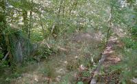 View north from the single platform of the former Auchenheath station in 1996. The Coalburn line was double track as far south as the Nethan Viaduct and then single track south to Coalburn.<br><br>[Ewan Crawford //1996]