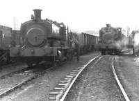 NCB Pugs taking a break at Cutler Sidings, Waterside, in December 1971. <br><br>[John Furnevel 01/12/1971]