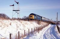 A snowscene photo depicting 40164 at Newburgh heading an Edinburgh - Inverness service on 2nd January 1979.<br>
<br><br>[Graeme Blair 02/01/1979]