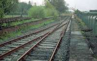 Looking to the level crossing at Cambus in 1988. The footbridge and platforms (somewhat cut back) remained. The loop had recently been installed and a buffer placed before the crossing where a short track panel had been lifted.<br><br>[Ewan Crawford //1988]