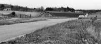 The road in front is the A95 at Gaich looking towards Grantown-on-Spey. Across the road in the middle distance is the trackbed of the railway as it approaches Grantown-on-Spey West. A few feet below me is the tackbed which was severed when the road was re-aligned in the mid 70s and today remains a hurdle for the Strathspey Railway's ambition to reach the town.<br><br>[John McIntyre /04/1977]