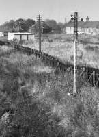 Looking north in 1972 towards the A955 level crossing at East Wemyss, along the NCB line from the Michael Colliery to the interchange with the Wemyss Private Railway.  The pit was abandoned after an underground fire on 9 September 1967.<br><br>[Bill Roberton //1972]