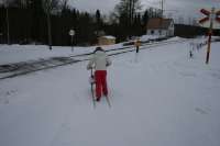 Santa's helper uses the traditional Swedish winter transport (spark) and crosses the railway safely with the warning light illuminated. [see image 57524] for a photo of the warning light extinguished.<br><br>[Charlie Niven //2014]