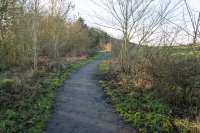 This view looks west at the approximate site of Wallace Nick station. This was where the former alignment of the A698 crossed the railway. The former railway trackbed is now a footpath between Kelso and Roxburgh.<br>
<br>
Wallace Nick was the temporary terminus of the North British's Kelso branch between 1850 and 1851, when the line extended east through Kelso station to meet the North Eastern Railway at Sprouston Junction. Wallace Nick (or Wallacenick) is a farm just to the north of the station. Kelso is often thought of as the NBR/NER boundary, but no, it was further east.<br><br>[Ewan Crawford 27/12/2016]