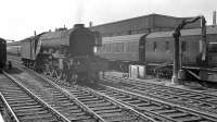 A3 Pacific no 60065 <I>Knight of Thistle</I> stands on the centre road at Doncaster station on 31 May 1963, having recently brought in the 8.10am Kings Cross - Hull.<br><br>[K A Gray 31/05/1963]