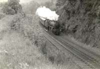 A Black 5 southbound passing Ardoch, on the GSW route between Sanquhar and Carronbridge, on a miserable July day in 1961, with a Glasgow St Enoch - Leeds City service. [Ref query 439].   <br><br>[G H Robin collection by courtesy of the Mitchell Library, Glasgow 15/07/1961]