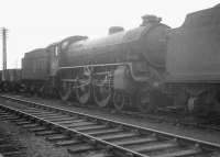 Stored B1 4-6-0 61351 at Bathgate in March 1964. The locomotive would not be officially withdrawn from Dalry Road shed for a further 4 months, before finally being cut up at Darlington Works in September the same year.<br><br>[K A Gray 28/03/1964]