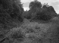 Looking west along the overgrown Blairhall Colliery branch.  The colliery closed in 1969. Seen from the Branch Line Society's Lothian & Fife Wanderer on 23 August 1980. Comrie Dean Viaduct is seen in the background right.<br><br>[Bill Roberton 23/08/1980]